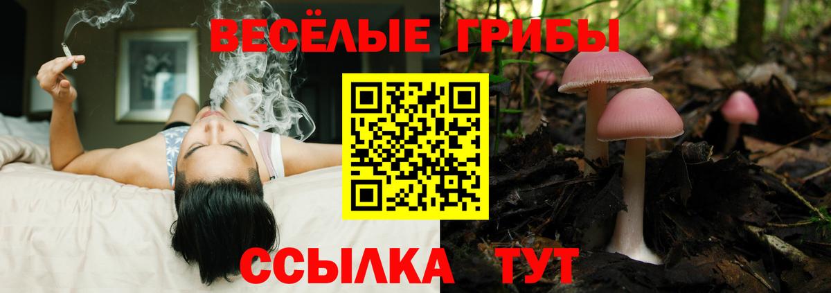 цена наркотик  Галлюциногенные грибы мухоморы  Вход с VPN  Галлюциногенные грибы MAGIC MUSHROOMS  Вязьма 