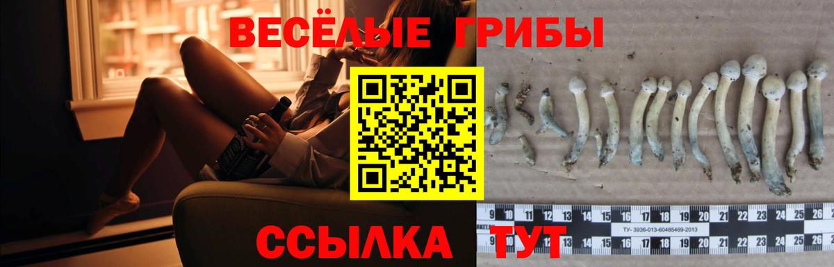 Вейп ТГК  Каннабис  Мефедрон   Вязьма  Вход с VPN  ГАШИШ  A-PVP СК  